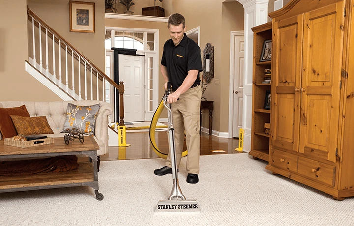 Stanley Steamer Carpet and Air Duct Cleaning - image 1