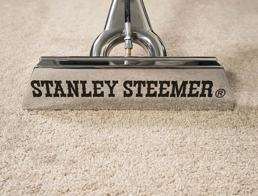 Stanley Steamer Carpet and Air Duct Cleaning - image 2